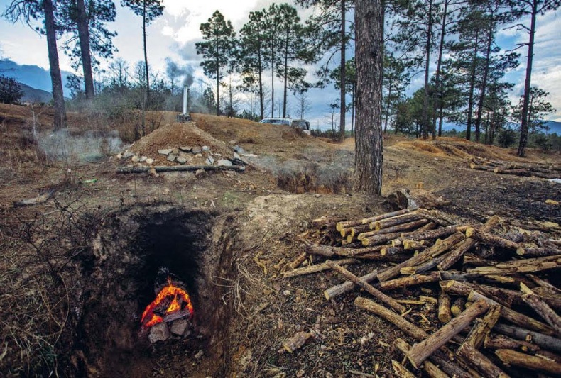 Иллюстрация к книге — Белый медведь в стране драконов [_142.jpg]
