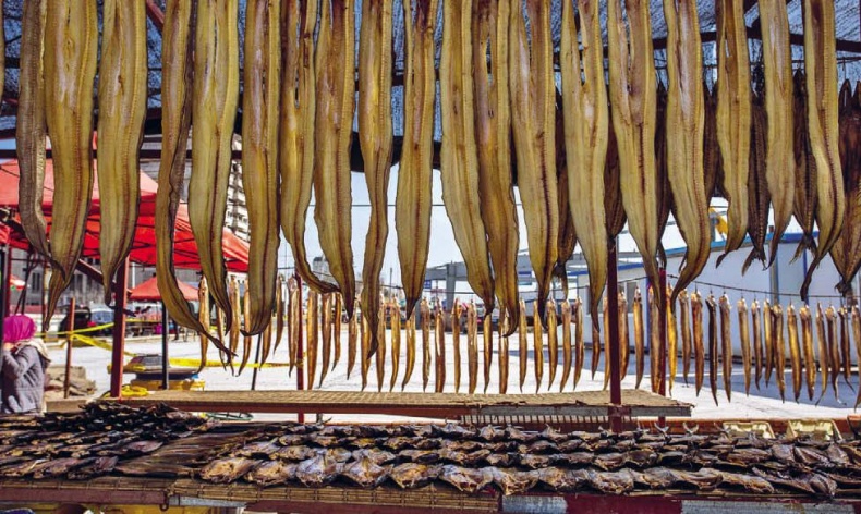 Иллюстрация к книге — Белый медведь в стране драконов [_225.jpg]