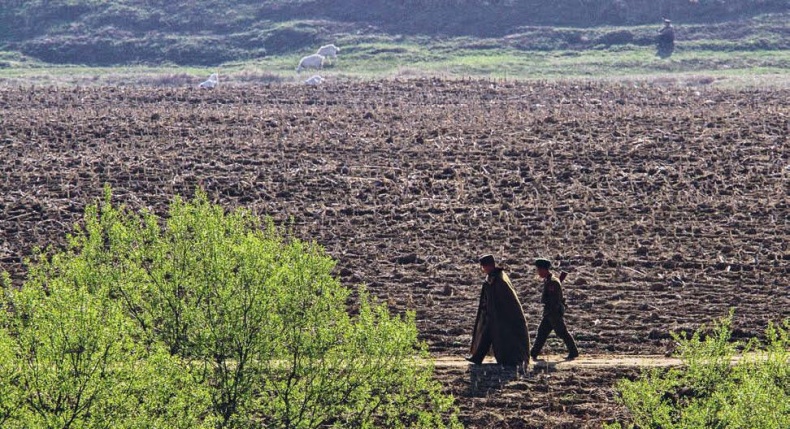 Иллюстрация к книге — Белый медведь в стране драконов [_238.jpg]