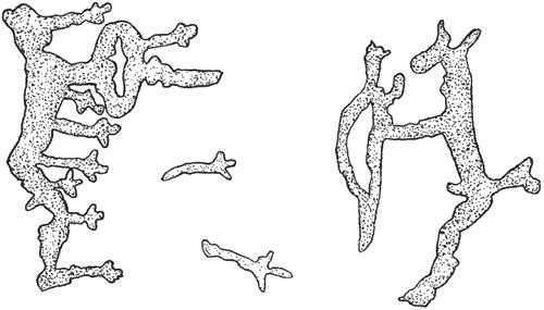 Иллюстрация к книге — Лапландцы. Охотники за северными оленями [i_007.jpg]
