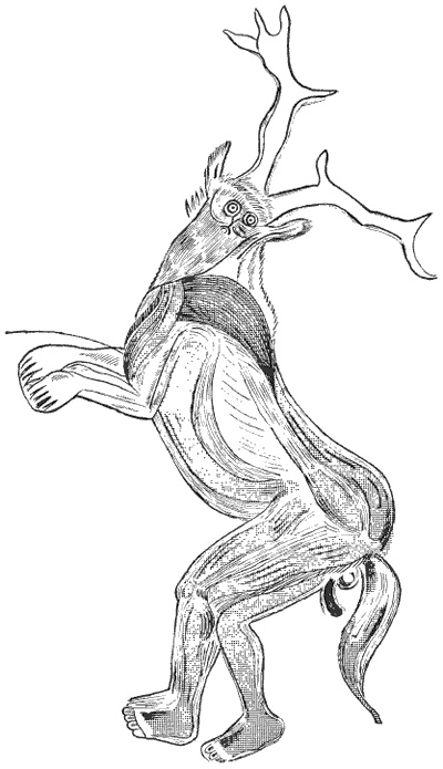 Иллюстрация к книге — Лапландцы. Охотники за северными оленями [i_009.jpg]