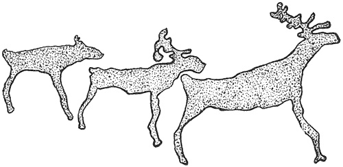 Иллюстрация к книге — Лапландцы. Охотники за северными оленями [i_011.jpg]