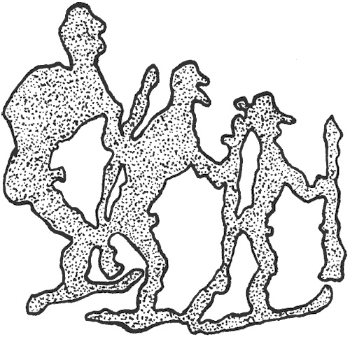 Иллюстрация к книге — Лапландцы. Охотники за северными оленями [i_029.jpg]