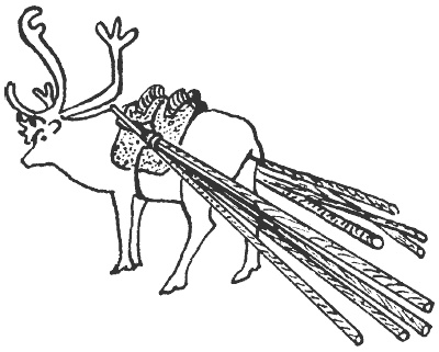 Иллюстрация к книге — Лапландцы. Охотники за северными оленями [i_036.jpg]