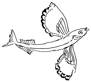 Иллюстрация к книге — Две тысячи лет до нашей эры. Эпоха Троянской войны и Исхода, Хаммурапи и Авраама, Тутанхамона и Рамзеса [i_033.jpg]