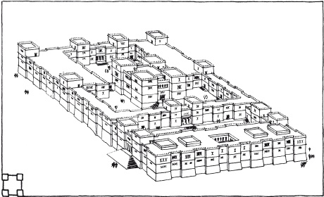 Иллюстрация к книге — Абиссинцы. Потомки царя Соломона [_20110523_164124.jpg]
