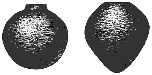 Иллюстрация к книге — Перу. От ранних охотников до империи инков [i_004.jpg]