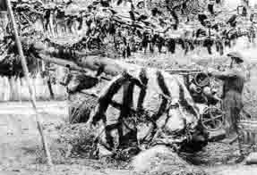 Иллюстрация к книге — Британская армия. 1939-1945. Северо-Западная Европа [i_005.jpg]