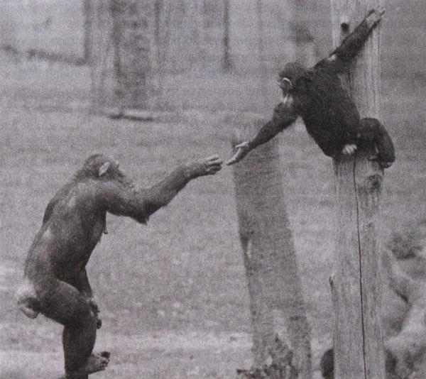 Иллюстрация к книге — Мудрость Востока и Запада. Психология равновесия [i_006.jpg]