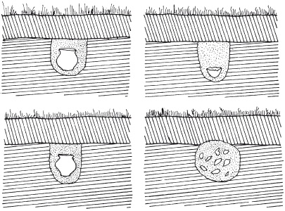 Иллюстрация к книге — Славяне. Сыны Перуна [i_051.jpg]