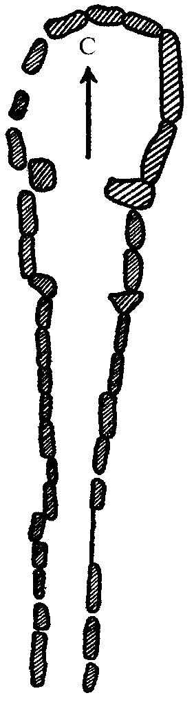 Иллюстрация к книге — Бретонцы. Романтики моря [pict09.jpg]