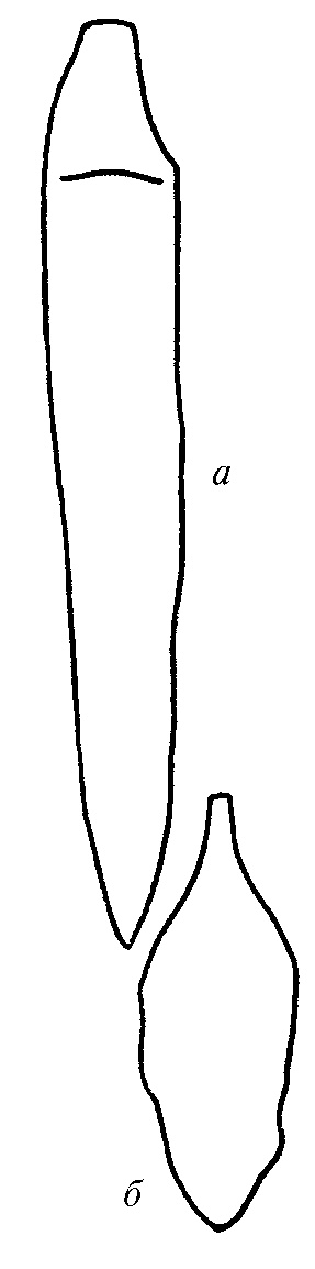 Иллюстрация к книге — Бретонцы. Романтики моря [pict15.jpg]