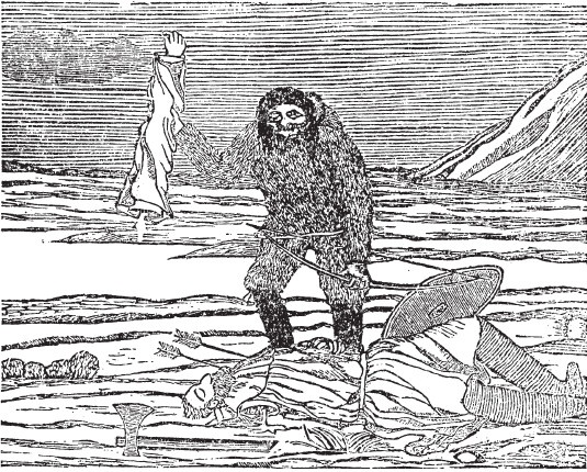 Иллюстрация к книге — Норманны. Покорители Северной Атлантики [i_011.jpg]