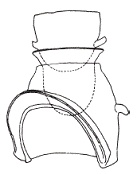 Иллюстрация к книге — Япония до буддизма. Острова, заселенные богами [pic_70.jpg]