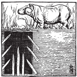 Иллюстрация к книге — Первобытные люди. Быт, религия, культура [i_015.jpg]