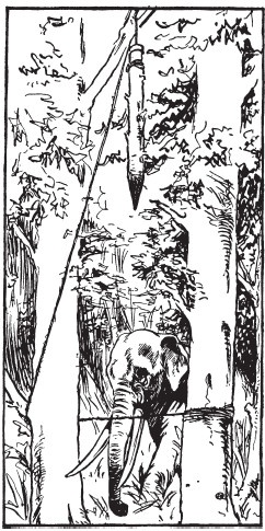 Иллюстрация к книге — Первобытные люди. Быт, религия, культура [i_016.jpg]