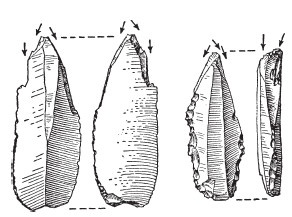 Иллюстрация к книге — Первобытные люди. Быт, религия, культура [i_035.jpg]