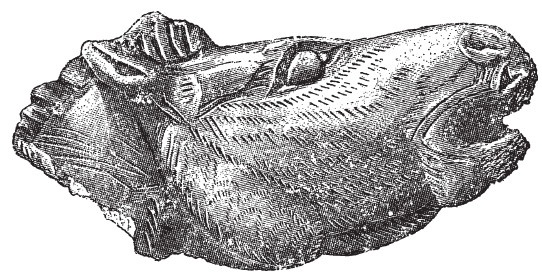 Иллюстрация к книге — Первобытные люди. Быт, религия, культура [i_061.jpg]