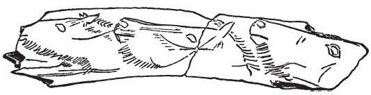 Иллюстрация к книге — Первобытные люди. Быт, религия, культура [i_063.jpg]