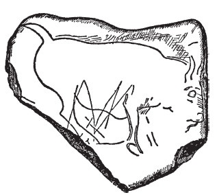 Иллюстрация к книге — Первобытные люди. Быт, религия, культура [i_064.jpg]