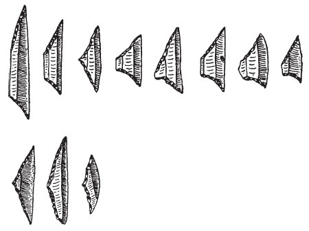 Иллюстрация к книге — Первобытные люди. Быт, религия, культура [i_065.jpg]