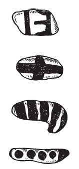 Иллюстрация к книге — Первобытные люди. Быт, религия, культура [i_066.jpg]