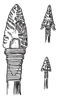 Иллюстрация к книге — Первобытные люди. Быт, религия, культура [i_077.jpg]