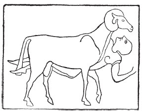 Иллюстрация к книге — Гомеровская Греция. Быт, религия, культура [i_030.jpg]