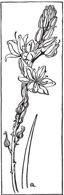 Иллюстрация к книге — Гомеровская Греция. Быт, религия, культура [i_031.jpg]