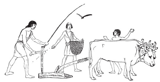 Иллюстрация к книге — Гомеровская Греция. Быт, религия, культура [i_065.jpg]