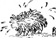 Иллюстрация к книге — Мысли для облаков [i_014.jpg]