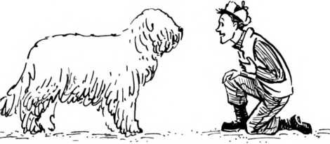 Иллюстрация к книге — Мысли для облаков [i_035.jpg]