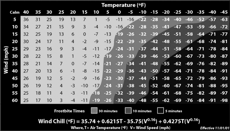 Иллюстрация к книге — Все в твоей голове. Экстремальные испытания возможностей человеческого тела и разума [i_001.jpg]