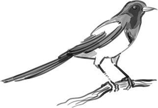 Иллюстрация к книге — Жизнь в стиле Палли-палли, или Особенности южнокорейского счастья. Как успеть все и получить от этого удовольствие [i_001.jpg]