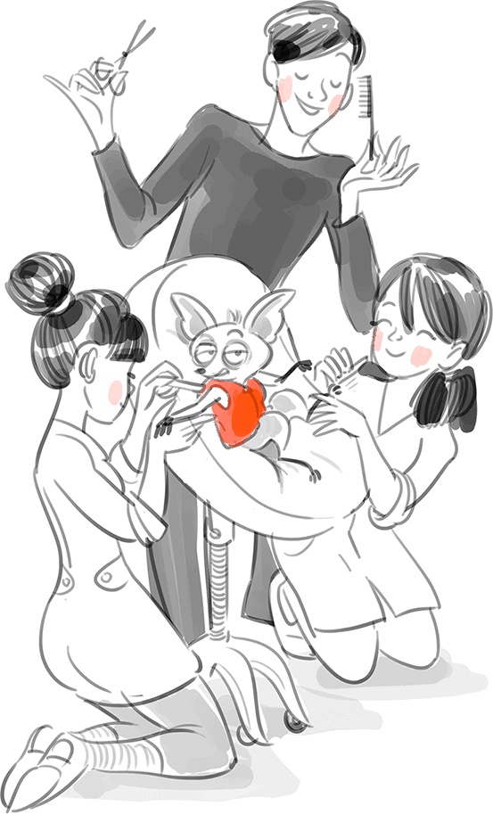 Иллюстрация к книге — Жизнь в стиле Палли-палли, или Особенности южнокорейского счастья. Как успеть все и получить от этого удовольствие [i_007.jpg]