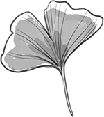 Иллюстрация к книге — Жизнь в стиле Палли-палли, или Особенности южнокорейского счастья. Как успеть все и получить от этого удовольствие [i_009.jpg]