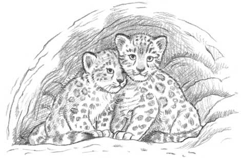 Иллюстрация к книге — Рождественские истории. Девочка из лунного света [i_001.jpg]