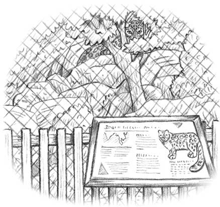 Иллюстрация к книге — Рождественские истории. Девочка из лунного света [i_003.jpg]