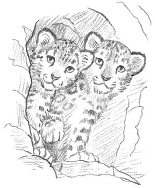 Иллюстрация к книге — Рождественские истории. Девочка из лунного света [i_025.jpg]