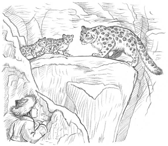 Иллюстрация к книге — Рождественские истории. Девочка из лунного света [i_026.jpg]