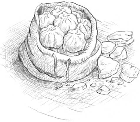 Иллюстрация к книге — Рождественские истории. Девочка из лунного света [i_030.jpg]