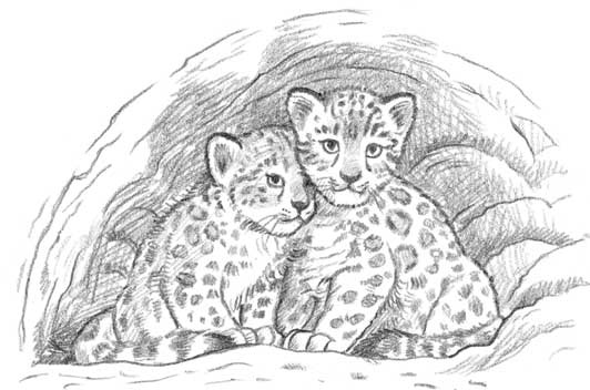 Иллюстрация к книге — Рождественские истории. Девочка из лунного света [i_034.jpg]