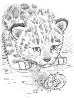 Иллюстрация к книге — Рождественские истории. Девочка из лунного света [i_035.jpg]