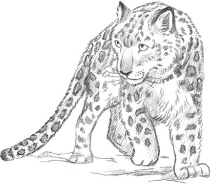 Иллюстрация к книге — Рождественские истории. Девочка из лунного света [i_045.jpg]