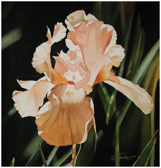 Иллюстрация к книге — Ни дня без кисти. Как рисовать часто и понемногу, сохранять свежий взгляд, не бояться экспериментов, быть уверенным и свободным в творчестве [i_057.jpg]