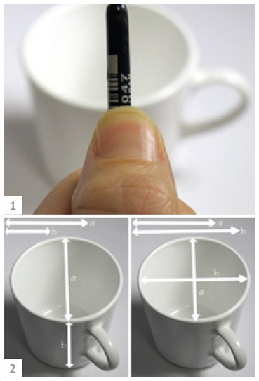 Иллюстрация к книге — Ни дня без кисти. Как рисовать часто и понемногу, сохранять свежий взгляд, не бояться экспериментов, быть уверенным и свободным в творчестве [i_155.jpg]