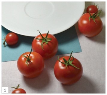 Иллюстрация к книге — Ни дня без кисти. Как рисовать часто и понемногу, сохранять свежий взгляд, не бояться экспериментов, быть уверенным и свободным в творчестве [i_206.jpg]