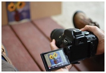 Иллюстрация к книге — Ни дня без кисти. Как рисовать часто и понемногу, сохранять свежий взгляд, не бояться экспериментов, быть уверенным и свободным в творчестве [i_251.jpg]