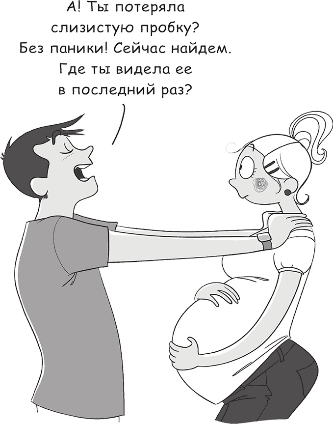 Иллюстрация к книге — Легкая энциклопедия для будущих отцов [i_006.jpg]