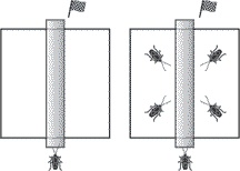 Иллюстрация к книге — Скрытое влияние. Какие невидимые силы управляют нашими поступками [i_015.jpg]